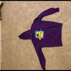 purple champion hoodie